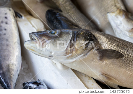 delicious fresh fish in the market delicious fresh fish in the market 142755075