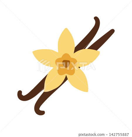 Elegant vector icon featuring stylized yellow star anise, suitable for culinary or decorative design use. Elegant vector icon featuring stylized yellow star anise, suitable for culinary or decorative design use. 142755887