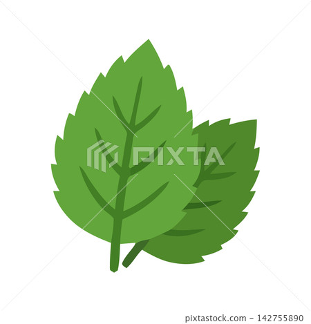 Simple, clean illustration of an idealized green leaf vector perfect for eco-friendly or nature themes. Simple, clean illustration of an idealized green leaf vector perfect for eco-friendly or nature themes. 142755890