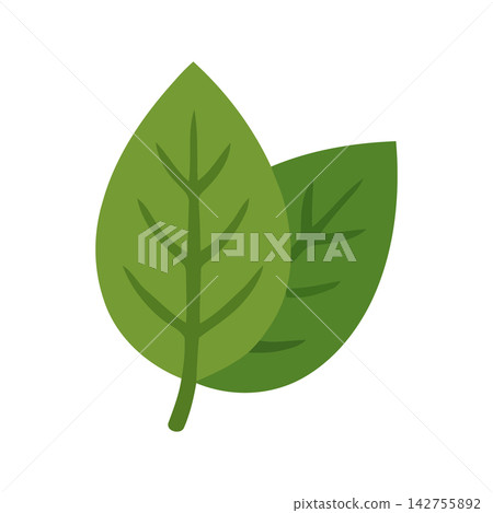 Simple, modern graphic representation of a lush green leaf for eco-friendly designs and nature themed projects. Simple, modern graphic representation of a lush green leaf for eco-friendly designs and nature themed projects. 142755892