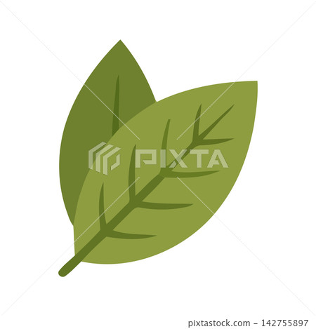 Elegant vector illustration of fresh green foliage, ideal for botanical, organic, and nature themed designs. Elegant vector illustration of fresh green foliage, ideal for botanical, organic, and nature themed designs. 142755897