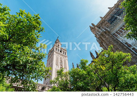 Ornate upper section of the Giralda bell tower against a clear blue sky in Seville Ornate upper section of the Giralda bell tower against a clear blue sky in Seville 142756443