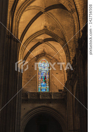 Gothic ribbed vaults and stained glass window inside Seville Cathedral, Spain 142756508