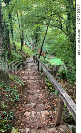 Stone pathway ascending through lush temperate forest vegetation leads towards a secluded wooden cabin nestled in the mountain wilderness under soft overcast sky creating a peaceful woodland hike 142756597