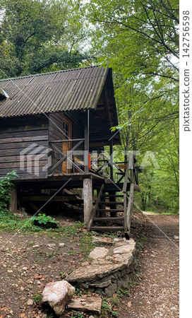 Elevated wooden hut positioned in deep wooded glade captures architectural details of traditional log framing and corrugated roof texture amidst dense green summer foliage and wild undergrowth Elevated wooden hut positioned in deep wooded glade captures architectural details of traditional log framing and corrugated roof texture amidst dense green summer foliage and wild undergrowth 142756598