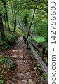 Steep rocky stairway descending through an ancient woodland grove with wooden fences bordering the trail leading to hidden rustic cabins nestled among deep forest green branches and shadows 142756603