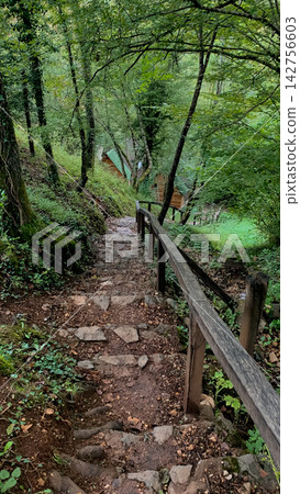 Steep rocky stairway descending through an ancient woodland grove with wooden fences bordering the trail leading to hidden rustic cabins nestled among deep forest green branches and shadows Steep rocky stairway descending through an ancient woodland grove with wooden fences bordering the trail leading to hidden rustic cabins nestled among deep forest green branches and shadows 142756603