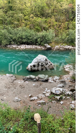 Large grey boulder resting in a vibrant turquoise mountain stream flowing through a dense forest 142756604