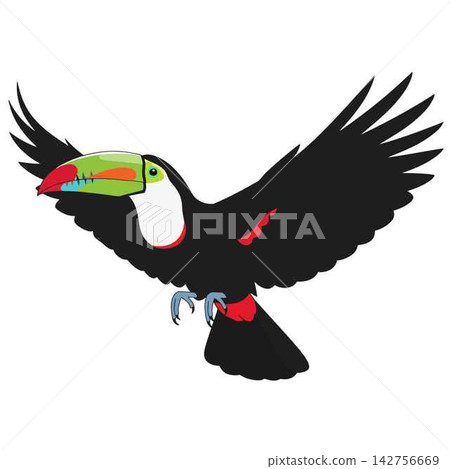 Toucan Bird Flying with Colorful Large Beak Graphic Illustration Toucan Bird Flying with Colorful Large Beak Graphic Illustration 142756669