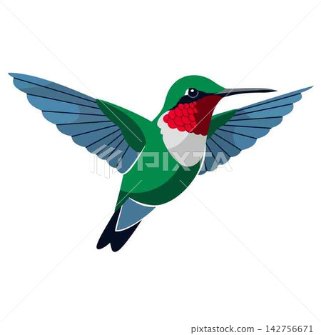 Hummingbird Flying with Vibrant Green Feathers and Red Gorget Illustration Hummingbird Flying with Vibrant Green Feathers and Red Gorget Illustration 142756671