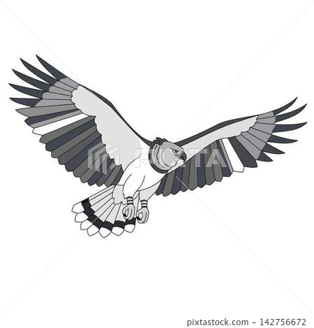 Harpy Eagle Bird Flying Cartoon Vector Illustration Isolated Harpy Eagle Bird Flying Cartoon Vector Illustration Isolated 142756672