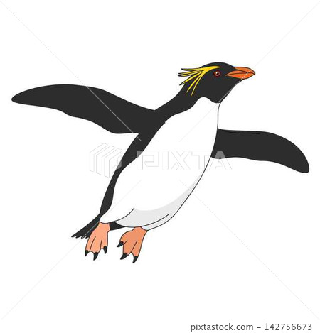 Macaroni Penguin Swimming Illustration Vector Design Macaroni Penguin Swimming Illustration Vector Design 142756673