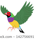 Gouldian Finch Colorful Bird in Flight with Wings Spread Vector Art 142756691