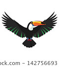 Tucan Flying Vector Illustration of Exotic Bird with Colorful Beak 142756693