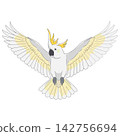 Cockatoo Flying Vector Illustration of White Exotic Bird 142756694