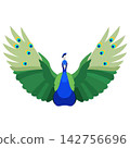 Peacock Vector Illustration of Majestic Bird with Colorful Feathers 142756696