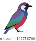 Bird Vector Illustration of a Colorful Exotic Songbird Graphic 142756700