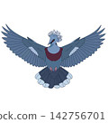 Goura Pigeon Flying with Majestic Blue Wings and Intricate Crest 142756701