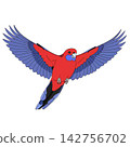 Rosella Parrot Flying with Colorful Wings in Isolated Vector Style 142756702