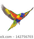Parrot in Flight Colorful Bird Illustration with Wings Spread 142756703