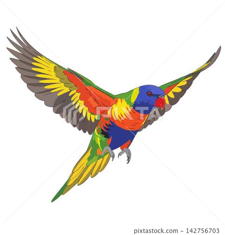 Parrot in Flight Colorful Bird Illustration with Wings Spread Parrot in Flight Colorful Bird Illustration with Wings Spread 142756703