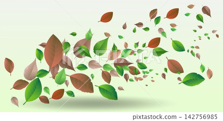 Colorful autumn leaves floating and swirling against a light green background Colorful autumn leaves floating and swirling against a light green background 142756985