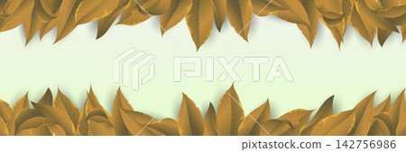 Autumn leaves creating a natural frame, symbolizing season change and fall Autumn leaves creating a natural frame, symbolizing season change and fall 142756986