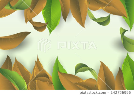 Autumn and green leaves creating a seasonal border with copy space 142756996