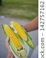 Two hands holding boiled corn cob with napkin, vertical summer food photo, ready to eat street snack 142757162