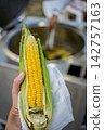 Boiled corn cob in hand with napkin, vertical street food photo, healthy summer snack 142757163