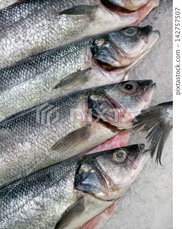 Chilled sea bass neatly arranged on crushed ice at a supermarket seafood counter, highlighting the freshness and quality of the fish for customers 142757507