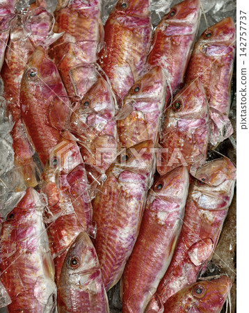 Defrosted red mullet displayed over ice in a supermarket fish department, presenting fresh looking red fish for convenient customer viewing and selection 142757737