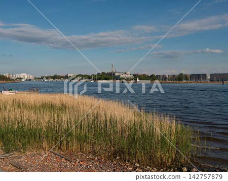 Harbor waterfront with calm blue water, distant city skyline, marina boats along shore, tall golden reeds in foreground under clear sky during sunny afternoon Harbor waterfront with calm blue water, distant city skyline, marina boats along shore, tall golden reeds in foreground under clear sky during sunny afternoon 142757879