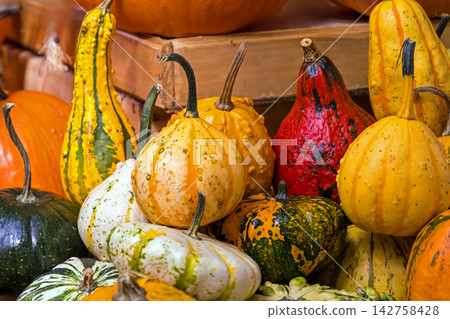 Pumpkins pile on market Pumpkins pile on market 142758428