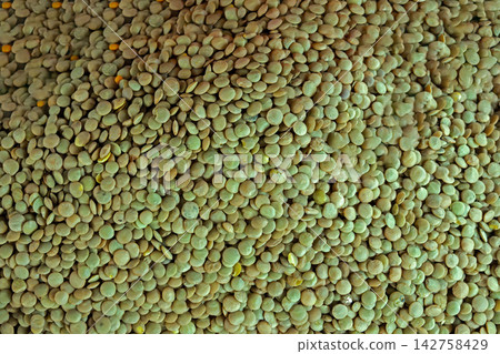 Raw green lentils pile Raw green lentils pile 142758429