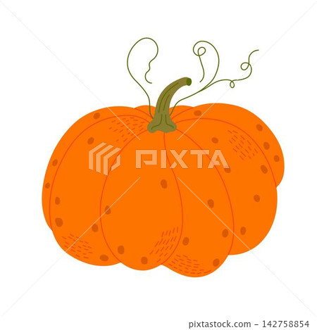 Pumpkin hand drawn vector illustration, vegetable for seasonal autumn, fall holidays celebration design, healthy vegetarian diet ingredient, Thanksgiving, Halloween clipart Pumpkin hand drawn vector illustration, vegetable for seasonal autumn, fall holidays celebration design, healthy vegetarian diet ingredient, Thanksgiving, Halloween clipart 142758854