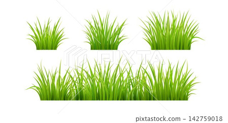 Easter grass. 3d green bush, tuft plant border or meadow lawn field. Garden leaf vegetation, agricultural farm leaves. Spring nature plant. Realistic isolated elements. Vector background Easter grass. 3d green bush, tuft plant border or meadow lawn field. Garden leaf vegetation, agricultural farm leaves. Spring nature plant. Realistic isolated elements. Vector background 142759018