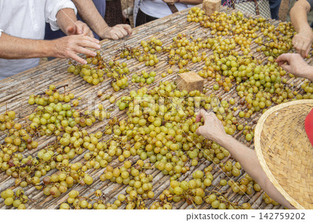 Hands spread scalded grapes across traditional woven reed mats for sun drying in an outdoor setting 142759202