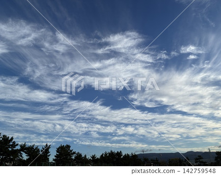 一片白色的捲雲和卷積雲鋪滿藍天。 142759548
