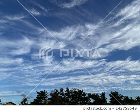 秋日的雲朵在藍天上緩緩飄動。 142759549