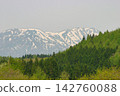 白雪皚皚的山峰和正在萌芽的森林 142760088