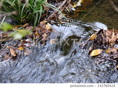 water flowing in a stream water flowing in a stream 142760428