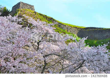 春天的岡城遺址 春天的岡城遺址 142760486