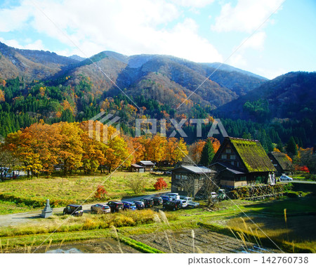 白川鄉紅葉岐阜縣 白川鄉紅葉岐阜縣 142760738