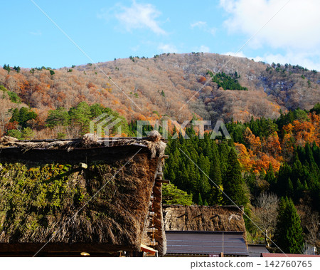 Shirakawa-go Autumn Leaves Gifu Prefecture Shirakawa-go Autumn Leaves Gifu Prefecture 142760765