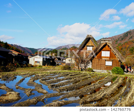 Shirakawa-go Autumn Leaves Gifu Prefecture Shirakawa-go Autumn Leaves Gifu Prefecture 142760776