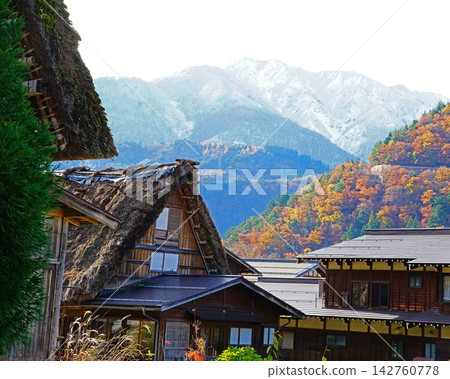 Shirakawa-go Autumn Leaves Gifu Prefecture Shirakawa-go Autumn Leaves Gifu Prefecture 142760778