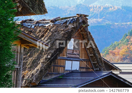 Shirakawa-go Autumn Leaves Gifu Prefecture 142760779