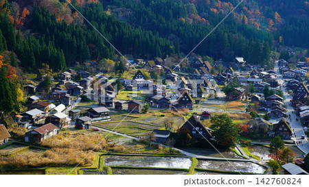 Shirakawa-go Autumn Leaves Gifu Prefecture Shirakawa-go Autumn Leaves Gifu Prefecture 142760824