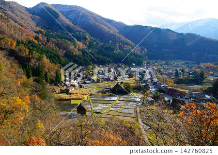 Shirakawa-go Autumn Leaves Gifu Prefecture Shirakawa-go Autumn Leaves Gifu Prefecture 142760825